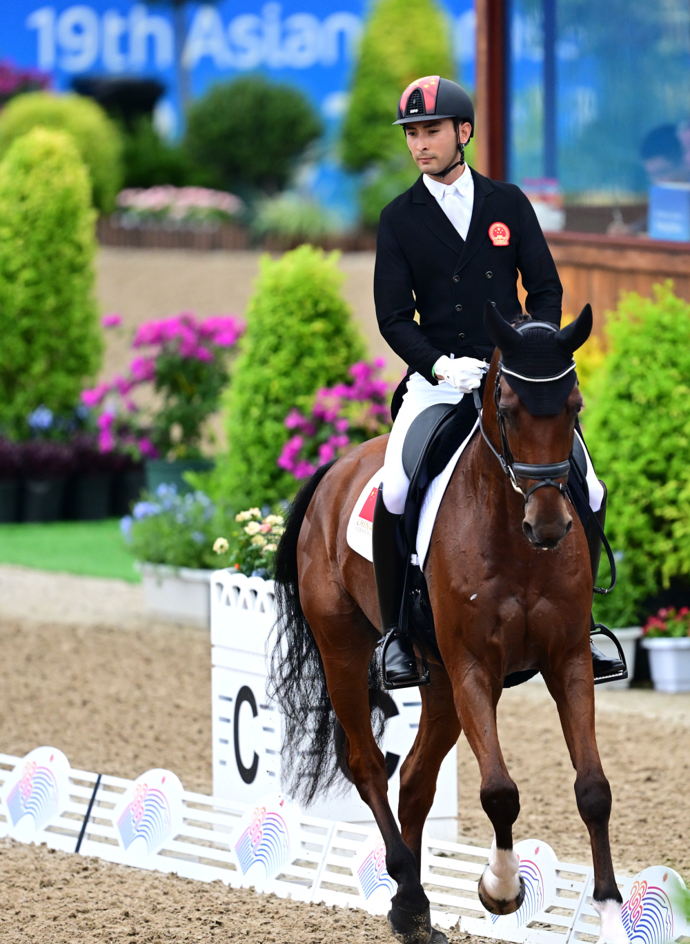 包含葡萄牙马术选手技压群雄，夺魁称雄！的词条